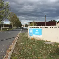 Les élèves protestent contre un menu végétarien unique.