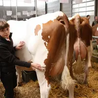 Un petit coup de brosse avant un autre passage sur le ring.