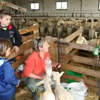 Les enfants accompagnent Maryse dans son travail.