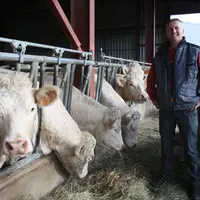 Pierre Chapuis éleveur à Arsac en Velay, engagé dans la démarche "Boeuf de Haute-Loire", devant ses charolaises,