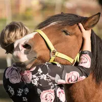 Cheval et son maître