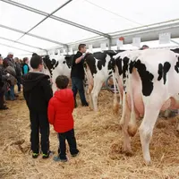 La mini ferme s'est installée ce weekend place du Breuil au Puy-en-Velay