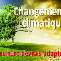 L’adaptation des pratiques culturales au changement climatique était le thème de la session de la Chambre départementale d’agriculture le 11 juin. 