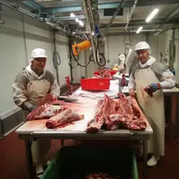Ici l'atelier de découpe géré par la Socaby.