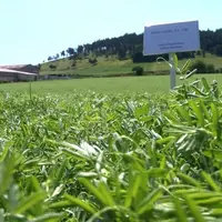 Chaque portion de parcelle est différenciée.