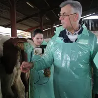 Séance d'examen minutieuse des animaux.