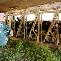 Cyril Ginhoux avec ses génisses. Parmi elles, Escale et Epice, 9 mois qui l’accompagnent au Jardin Henri Vinay...