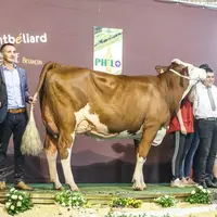 Paëlla du Gaec du Pivert élue grande championne.