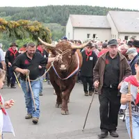 Le temps fort de la Fête du Fin Gras du Mézenc, c’est sans conteste la Grande parade. Éleveurs et bêtes traversent le village avec fierté.