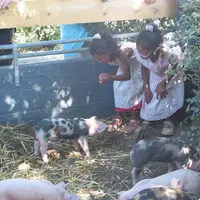 Enfants et animaux…