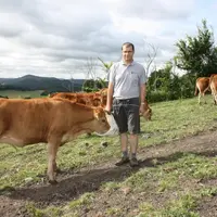 Cédric Sanial avec son troupeau de Limousines.