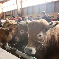 Une exposition-vente réussie au Monastier ce dimanche 30 janvier.