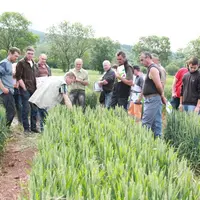 Des agriculteurs attentifs et très intéressés profitent des enseignements des techniciens.