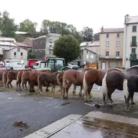 Un bel alignement l’an dernier.