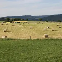 15 cantons supplémentaires et quelques communes des cantons de Pinols et Saugues font partie du classement proposé par le comité départemental.