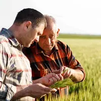 Deux agriculteurs dans un champ