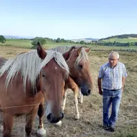 Claude Cubizolle avec ses comtois.