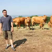 Mickaël Forestier avec son troupeau de Lismousines.