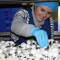 Lou-légulice prévoit d'installer une unité de production de 10.000 m² sur la zone de Chaspuzac.