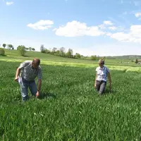 Les essais sont implantés sur la commune de St Paulien à Orcenac au Gaec du Perouet.