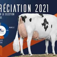 Nouvelle grille de pointage pour la Prim'Holstein.