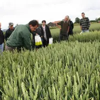 La Chambre d’Agriculture de Haute-Loire et EuréaCoop, adhérents de l’ACM,
ont organisé cette journée technique.