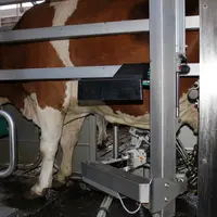 À l’échelle de l’Union européenne, le prix moyen de la tonne de lait s’établit à 519 €.