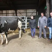 Pauline Brun, Thierry Portal et Vincent Brunel en compagnie d'Ophélie, qui représentera le Gaec lors des journées laitières à St Paulien.