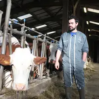 Léo Nicolas, jeune éleveur à Yssingeaux, dans sa stabulation laitière.