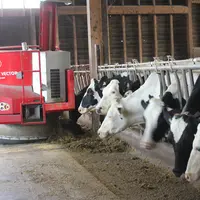 Robot distributeur d'alimentation sur vaches laitières au Gaec de Ste Croix à St Just Malmont.