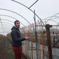 Julien Bonnefoy devant ses framboisiers dans une serre.