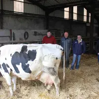 Les éleveurs du Gaec des Achamps et le président du Syndicat Prim Holstein Guillaume Julien avec Douchka une laitière remarquable par sa longévité (+