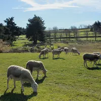 "L'objectif affiché par le syndicalisme majoritaire est de relancer l'attractivité du bail rural auprès  des propriétaires".