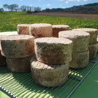 Fromages dans un champs en fleur