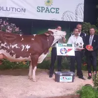 Istanoise 1ère de section et Championne jeune.