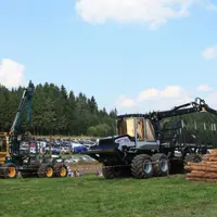 Festi’Forêt, c’est le samedi 13 septembre.