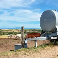 Tonne à eau dans un pâturage.