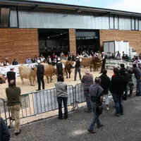 Les journées allaitantes, un rendez-vous professionnel organisé par la Chambre d’Agriculture de Haute-Loire en partenariat avec Codélia, le GDS43 et l