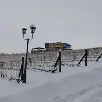 Exploitation viticole grecque avec création d'hôtel restaurant haut de gamme financé par les fonds européens.
