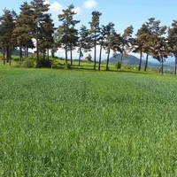 Rendez-vous le 22 juin à 10h, à Glavenas sur la commune du Pertuis.