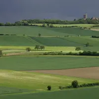 Les régions qui perdent le moins de terres agricoles (-2 %) se situent dans la diagonale centrale de la Lorraine au Limousin.