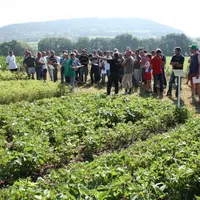 Les agriculteurs sont venus nombreux pour observer le comportement des cultures implantées et pour prendre note des premières analyses livrées par les