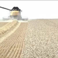 «La loi du plus riche ne fonctionne pas en agriculture : il faut des paysans au cœur des exploitations, pas des financiers» avance Guillaume Darrouy,