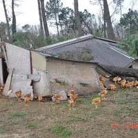 Les dégâts considérables témoignent de la violence de cette tempête.