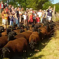 6 édition de la Néira
