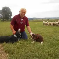 Jean Cubizolle avec ses deux Border Collie : Ilda et Cline.