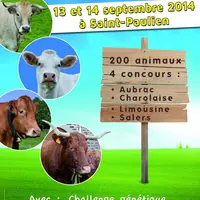 Affiches des journées allaitantes