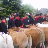 La fête des éleveurs, des bouchers et des restaurateurs autour d'un produit phare sur le Massif, le Fin Gras du Mézenc.