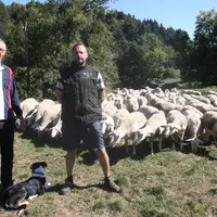 Ici en compagnie de Maurice Imbert, Jérôme Ambert élève 300 brebis sur 70 ha et commercialise ses agneaux  au marché de Saugues.