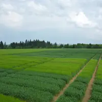 Rendez-vous le 26 juin à La Chapelle Laurent.